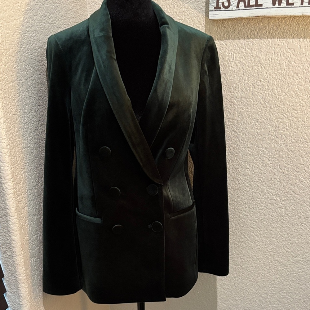 Express Deep Green Velvet Blazer